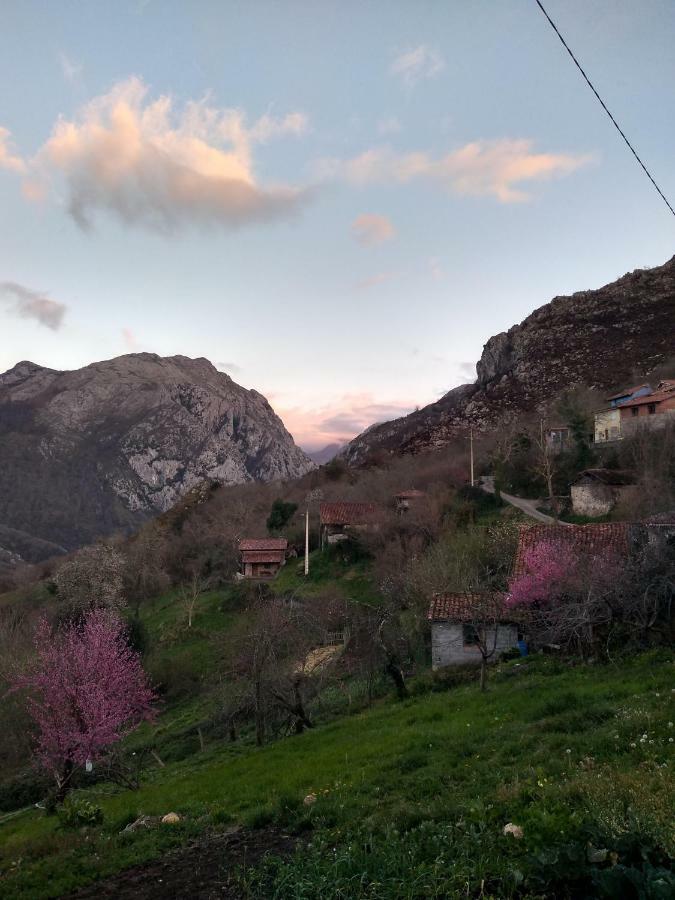 فيلا El Llagar Vista  المظهر الخارجي الصورة